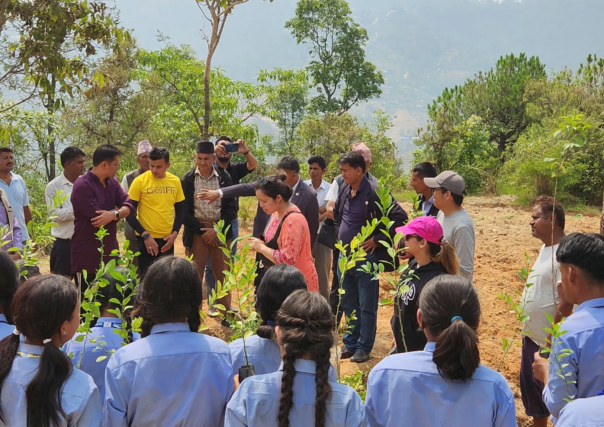 Afforestation
