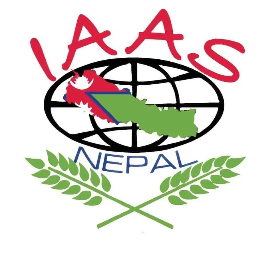 IAAS